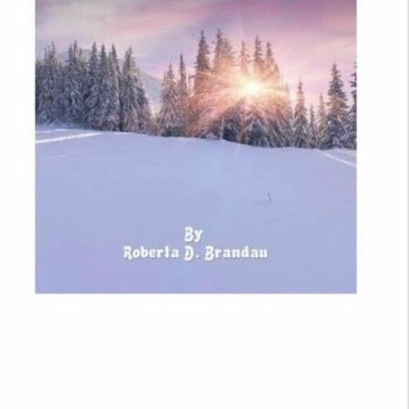 The Day After Christmas Children's Book - Picture 3 of 9